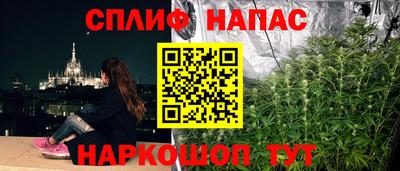 тгк Долгопрудный