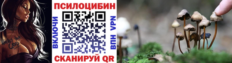 Псилоцибиновые грибы Psilocybe  omg ССЫЛКА  Махачкала 