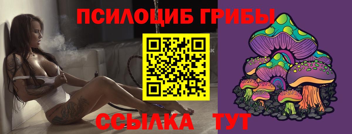 Псилоцибиновые грибы MAGIC MUSHROOMS  Вход с VPN  Псилоцибиновые грибы Cubensis  Махачкала 